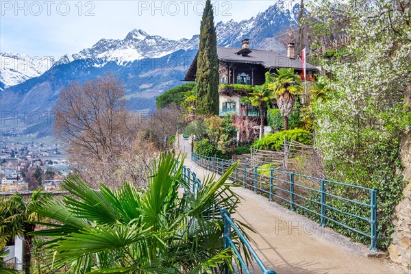 Tappeiner Promenade, Tappeiner Trail in spring with the Texel Group, Merano, Pass Valley, Adige