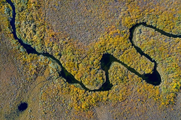 Aerial view over meandering stream in moorland in autumn, fall at Hedmark, Innlandet, Eastern