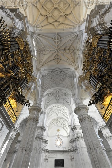 Santa Maria de la Encarnacion, Cathedral of Granada, Baroque church with detailed vaulted ceiling