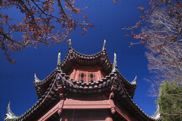 The Tower of Condensing Clouds pavilion framed by deciduous trees in traditional Chinese garden in