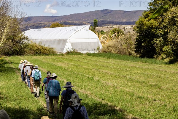 San Pablo Huitzo, Oaxaca, Mexico, Farmers are part of a cooperative that uses agroecological
