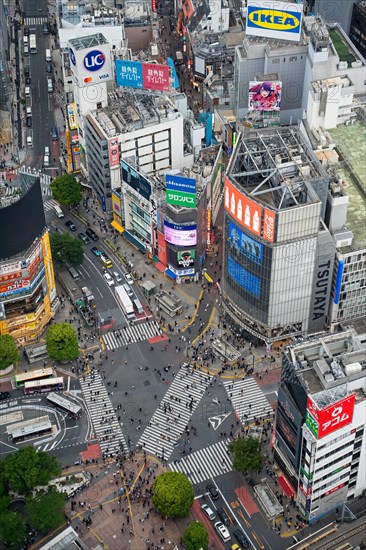 Digital billboards and pedestrians using the Shibuya Scramble Crossing, busy pedestrian