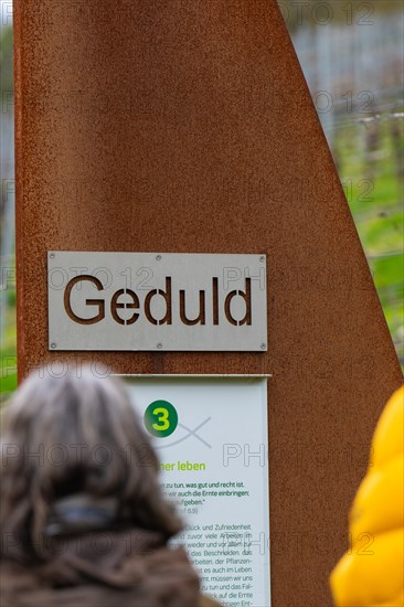 Close-up of a sign with the inscription 'patience' on a learning path in a vineyard, Jesus Grace