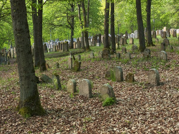 Old Jewish cemetery on the Judenhuegel near Kleinbardorf, municipality of Sulzfeld, Hassberge,