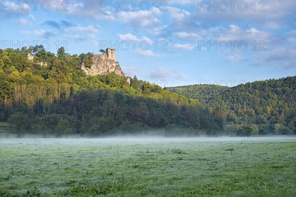 Neideck castle ruins in the morning mist in the Wiesenttal valley, landmark of Franconian