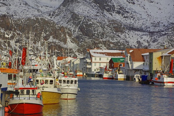 Fishing vessels in the last light of day in the harbour of Henningsvaer, Winter, Lofoten, Nordland,