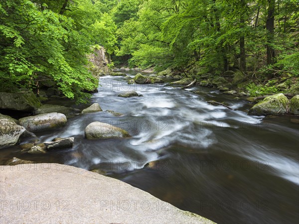 The River Bode with rapids and boulders in the Bode Valley between Thale and Treseburg, Harz