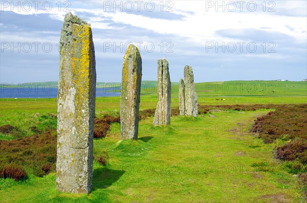 Standing stones from the Stone Age on a green meadow, Unesco World Heritage Site, Ring of Brodgar,