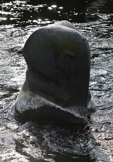 Sculpture by Bernd Bergkemper in the shape of an elephant in the river Wupper, commemorating the