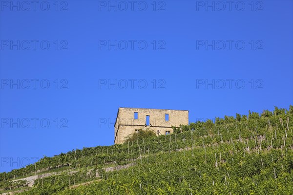 Yburg, Y-Burg, Yberg, Eibenburg, ruins of a hillside castle, historic building, built in the early