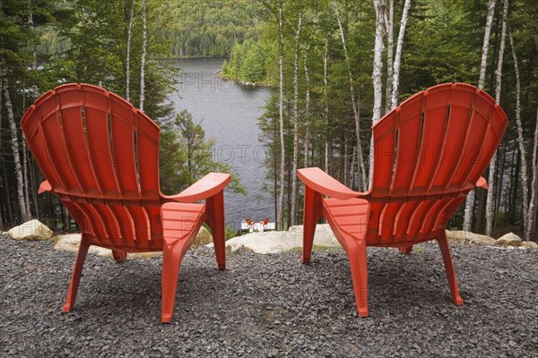 Two bright red plastic Adirondack chairs overlooking a calm lake through Betula, Birch trees with