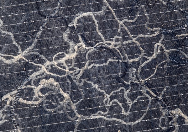 Sahara dust on a solar module, solar panel, a balcony system on a green roof, Braunschweig, Lower