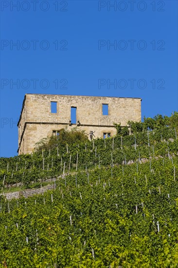 Yburg, Y-Burg, Yberg, Eibenburg, ruins of a hillside castle, historic building, built in the early