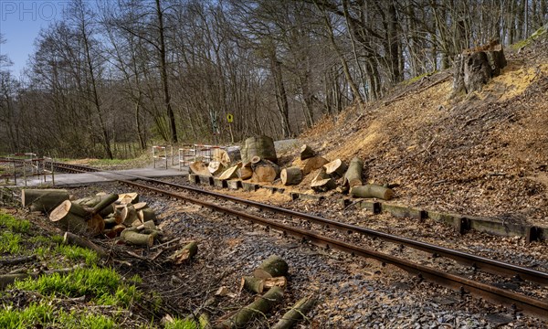 Narrow-gauge railway bed of the Raging Roland, Ruegen, Mecklenburg-Western Pomerania, Germany,