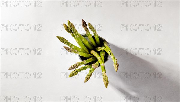 Green asparagus casting a long shadow on a white surface, AI generated, AI generated