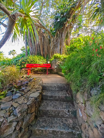 Jardin Botaniqu de Deshaies, botanical garden with flora and fauna in Guadeloupe, Caribbean, French