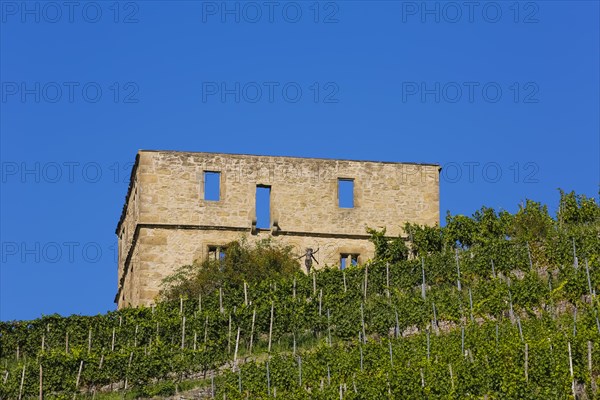 Yburg, Y-Burg, Yberg, Eibenburg, ruins of a hillside castle, historic building, built in the early