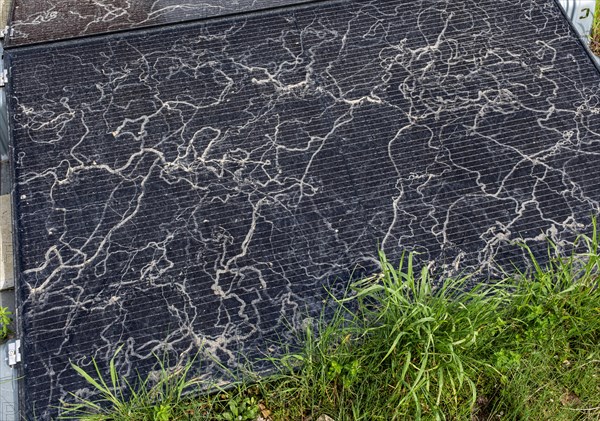 Sahara dust on a solar module, solar panel, a balcony system on a green roof, Braunschweig, Lower