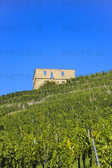 Yburg, Y-Burg, Yberg, Eibenburg, ruins of a hillside castle, historic building, built in the early