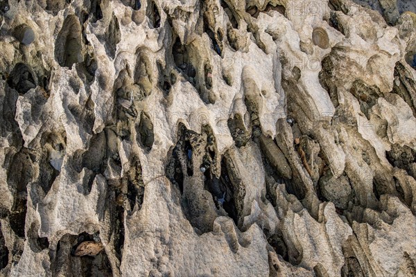 Gewaschener Stein aus Meerwasser am Strand, tolles Muster und Natur
