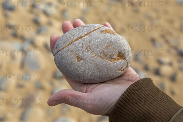 Woman holding stone in hand, beach, LLanddwyn Bay, Newborough, Isle of Anglesey, Wales, Great