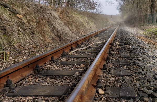 Narrow-gauge railway bed of the Raging Roland, Ruegen, Mecklenburg-Western Pomerania, Germany,