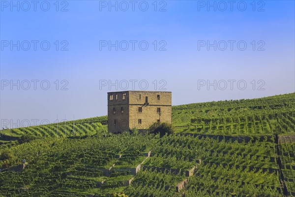 Yburg, Y-Burg, Yberg, Eibenburg, ruins of a hillside castle, historic building, built in the early