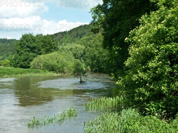 Ford of the Danube seepage point at high water level, Immendingen, Tuttlingen district,