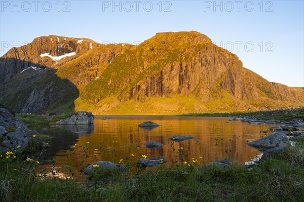 The nature reserve at Eggum. Lake Nedre Heimredalsvatnet, a few yellow blooming marsh marigolds