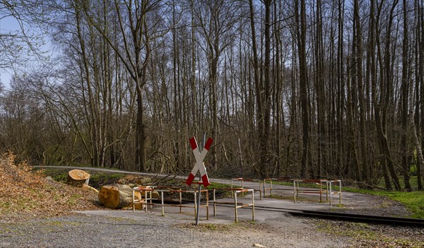 Narrow-gauge railway bed of the Raging Roland, Ruegen, Mecklenburg-Western Pomerania, Germany,
