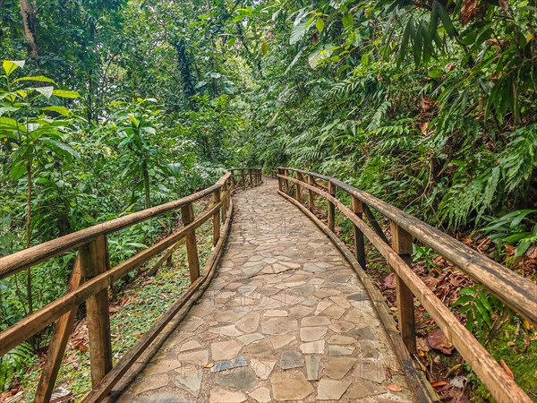 Jardin Botaniqu de Deshaies, botanical garden with flora and fauna in Guadeloupe, Caribbean, French