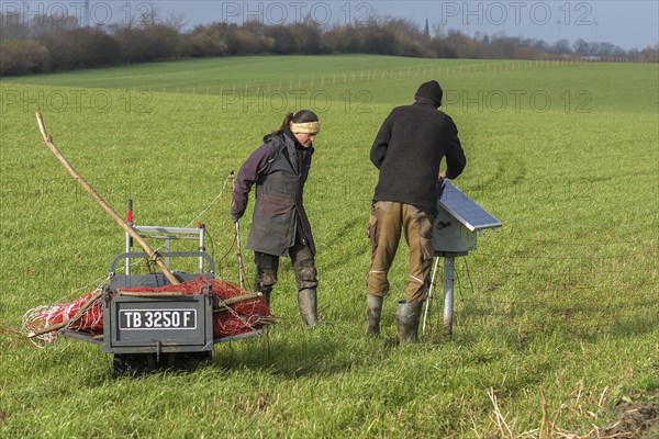 Shepherd and his daughter fence a new pasture with a solar panel for the electric fence,