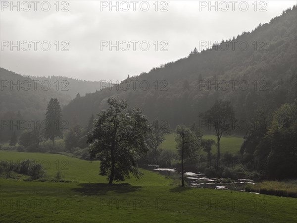 Valley of the Danube, Upper Danube nature park Park, Tuttlingen district, Baden-Wuerttemberg,