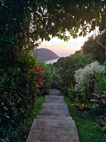 Jardin Botaniqu de Deshaies, botanical garden with flora and fauna in Guadeloupe, Caribbean, French