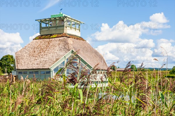 Visitor center in a wetland with growing reeds a sunny summer day, Hornborgasjoen, Falkoeping,