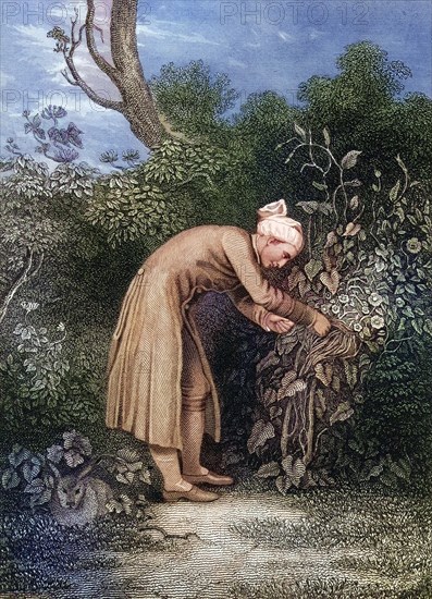 William Cowper (born 26 November 1731 in Berkhamstead, Hertfordshire, died 25 April 1800 in East