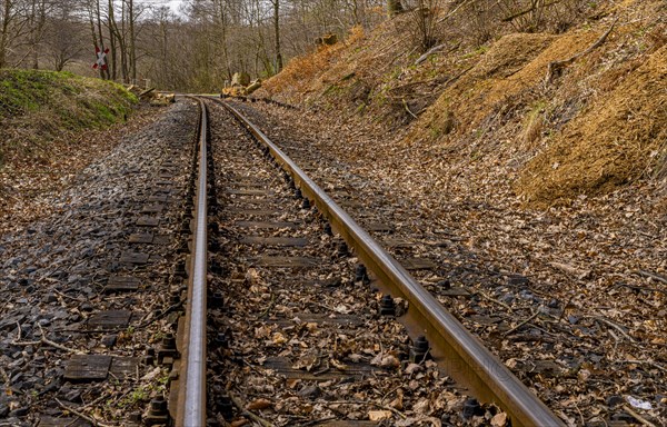 Narrow-gauge railway bed of the Raging Roland, Ruegen, Mecklenburg-Western Pomerania, Germany,
