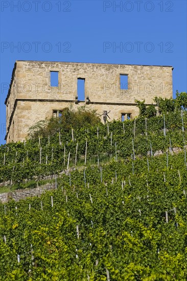 Yburg, Y-Burg, Yberg, Eibenburg, ruins of a hillside castle, historic building, built in the early
