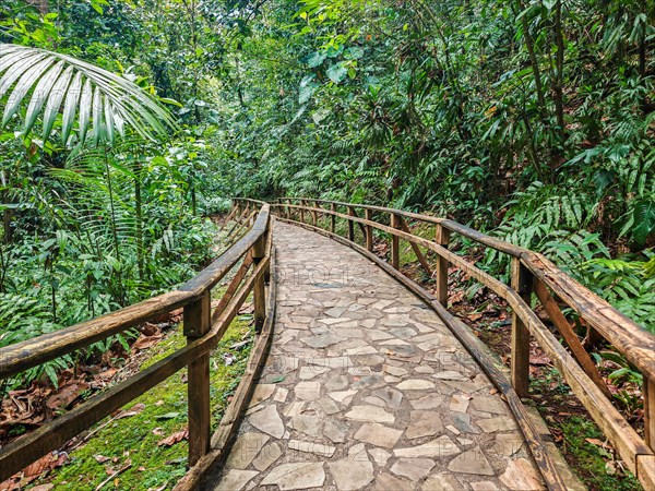 Jardin Botaniqu de Deshaies, botanical garden with flora and fauna in Guadeloupe, Caribbean, French