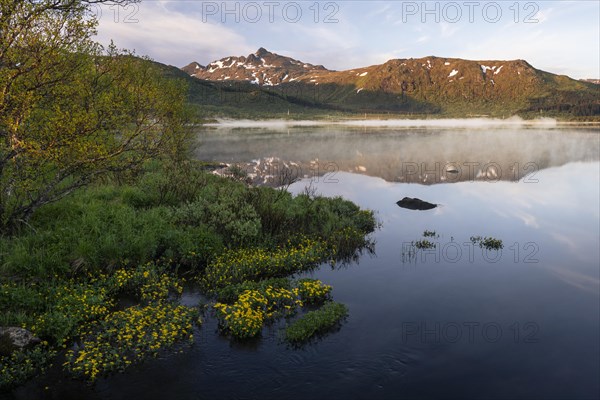 Landscape in the Lofoten Islands. Lake Lilandsvatnet with mountains in the background. Yellow