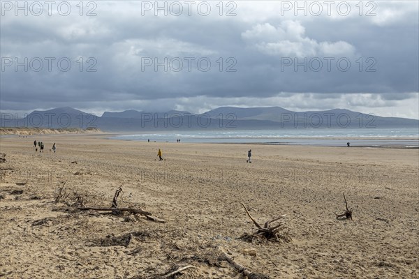 Beach, people, clouds, mountains, LLanddwyn Bay, Newborough, Isle of Anglesey, Wales, Great Britain