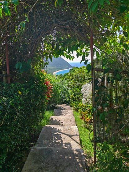 Jardin Botaniqu de Deshaies, botanical garden with flora and fauna in Guadeloupe, Caribbean, French