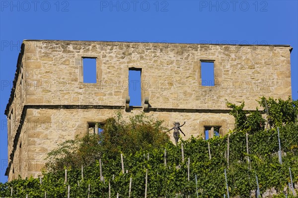 Yburg, Y-Burg, Yberg, Eibenburg, ruins of a hillside castle, historic building, built in the early