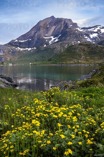 Landscape on the Lofoten Islands. View of the sea, Kakersundet, and the mountain Narvtinden on