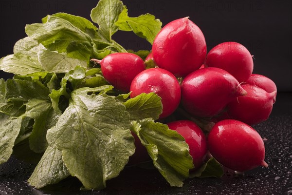 Close-up of harvested and washed red Raphanus sativus, Radishes on black background with water