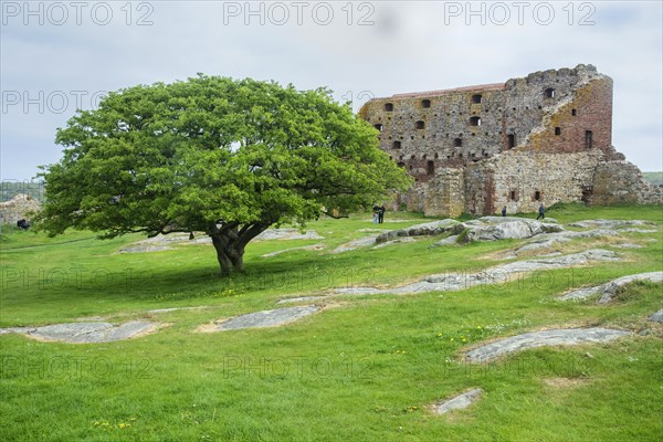 Hammershus was Scandinavia's largest medieval fortification and is one of the largest medieval