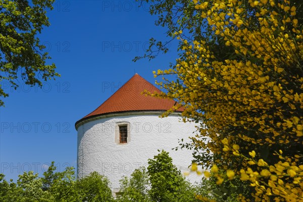 Wildenstein Castle, Spornburg, medieval castle complex, best preserved fortress from the late