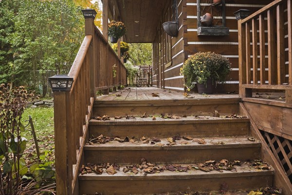 Old and worn brown stained wooden stairs and long veranda with pine wood rocking chair and fallen