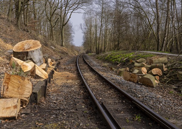 Narrow-gauge railway bed of the Raging Roland, Ruegen, Mecklenburg-Western Pomerania, Germany,