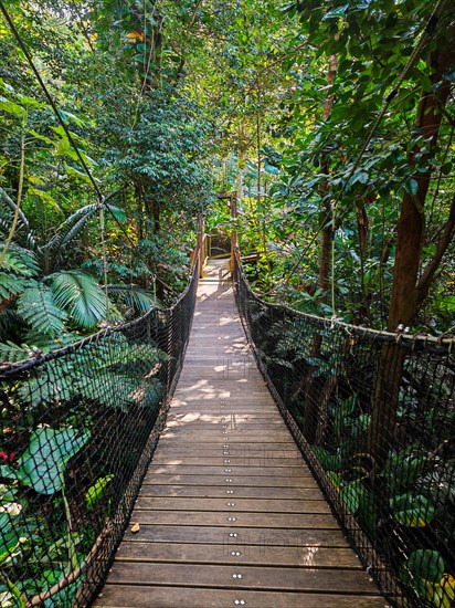Jardin Botaniqu de Deshaies, botanical garden with flora and fauna in Guadeloupe, Caribbean, French